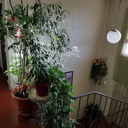 Le Chemin Neuf * Gréoux-les-Bains