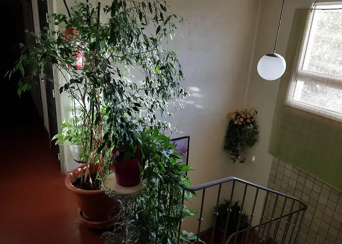 Le Chemin Neuf * Greoux-les-Bains